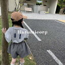 セットアップ キッズ 女の子 男の子 子供服 上下セット tシャツ 半袖 ハーフパンツ おしゃれ 可愛い 韓国子供服 春 夏 ベビー服 ジュニア トップス ボトムス こども服 入学 入園 誕生日 プレゼント ナチュラル シンプル 女児 幼稚園 140cm 130 120 110 100 90