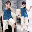 子供服 女の子 夏服 韓国子供服 セットアップ 上下セット 160センチ tシャツ ブラウス 無地 ズボン ハーフパンツ トップス ボトムス こども服 ベビー服 ジュニア おしゃれ 可愛い 新品 110cm 120cm 130cm 140cm 150cm 160cm