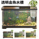 メダカ 金魚 水槽 金魚鉢 プラスチック 透明 メダカ鉢 おしゃれ ザリガニ水槽 大型 大容量 アクアリウム 金魚飼育セット 水槽セット 熱帯魚 クラゲ グッピ...