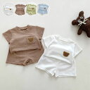 セットアップ キッズ クマさん ベビー服 ジャージ 上下セット 赤ちゃん ジュニア 子供服 女の子 男の子 tシャツ ショートパンツ スポーツウェア ダンス衣装...