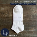 オフホワイト 日本製 定番 リブスニーカソックス 1足組 靴下 メンズ フォーマル ビジネス ソックス 23~29 cm 23 24 25 26 27 28 2...