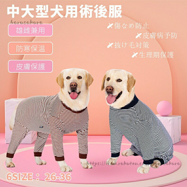 运动外衣 - 春夏 中 大型犬用術後ウェア イヌ術後服 術後着 前後足 腹部の傷口保護 傷舐め防止 避妊 去勢 離乳 手術 皮膚保護 男女用 着脱便利 背部ジッパー式 抜け毛対策