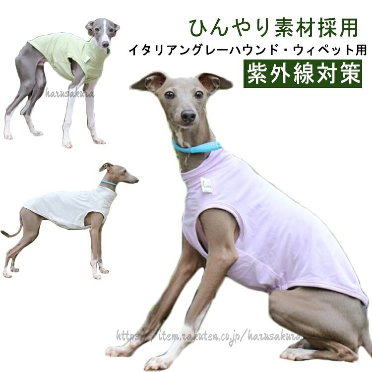 ベスト ウィペット 犬 ドッグウェア 熱中症対策 犬の服 春 夏 クール 服 ノースリーブ ハイネック イタグレ服 犬用品 犬服 イタリアングレーハウンド