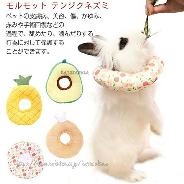 Rakuten - 自傷 うさぎ ペット 首巻 ネコ 小型犬 ねこ 猫 傷口 皮膚疾患 避妊 去勢 かわいい 傷保護 ウサギ用エリザベスカラー うさぎ用品 ペット用品 ウサギ用品 ウサギ術後ケア
