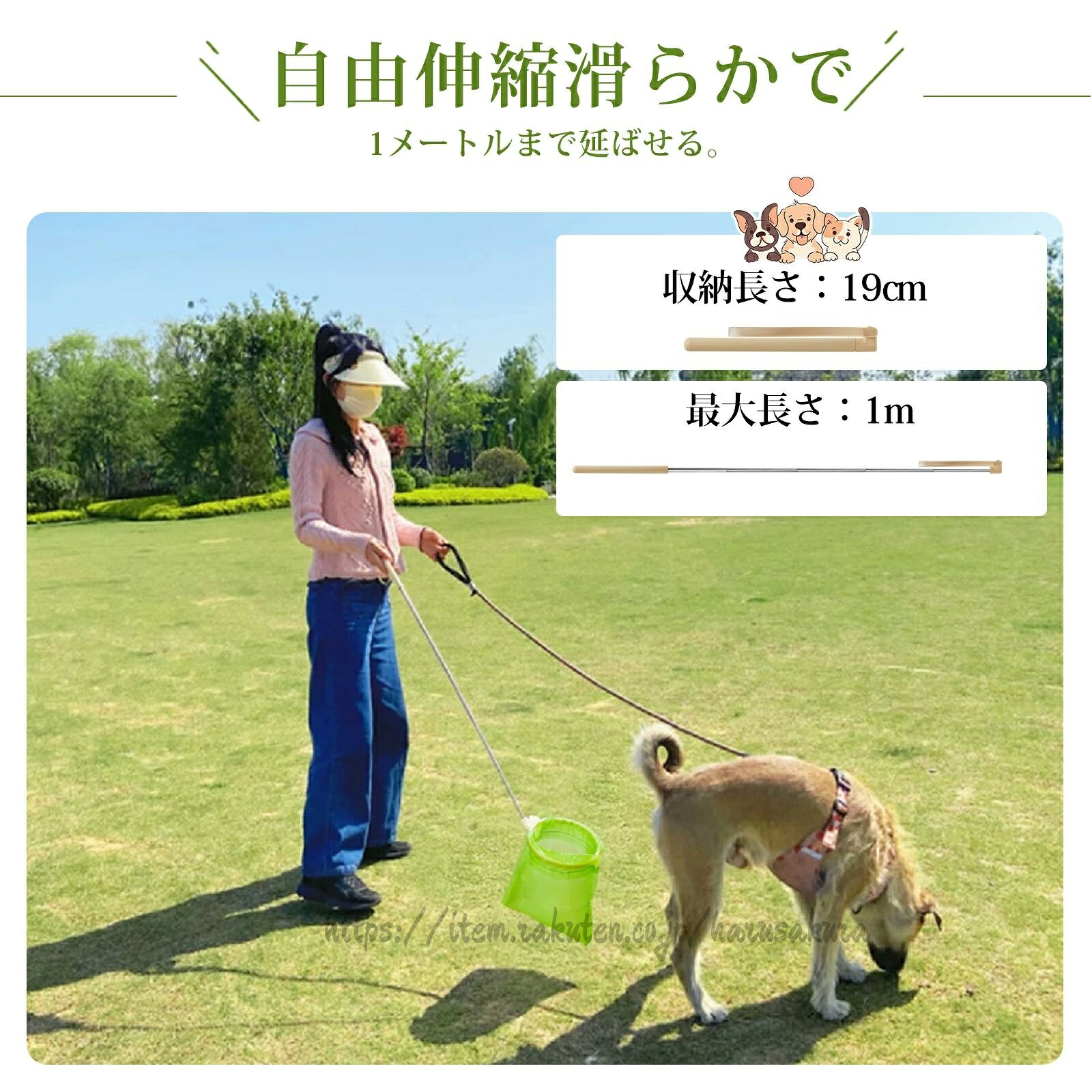 サンプル画像3