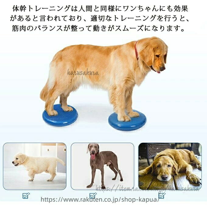 バランスディスク 犬用 ペット ドッグバランスディスク リバーシブル ペット用 小...