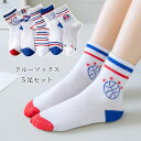 【マラソン期間最大10%OFFクーポン&P2倍】靴下 男の子 5足入 ソックス 女の子 春 夏 クルーソックス 薄手 子供 ソックス 抗菌 コットン サマーソッ...