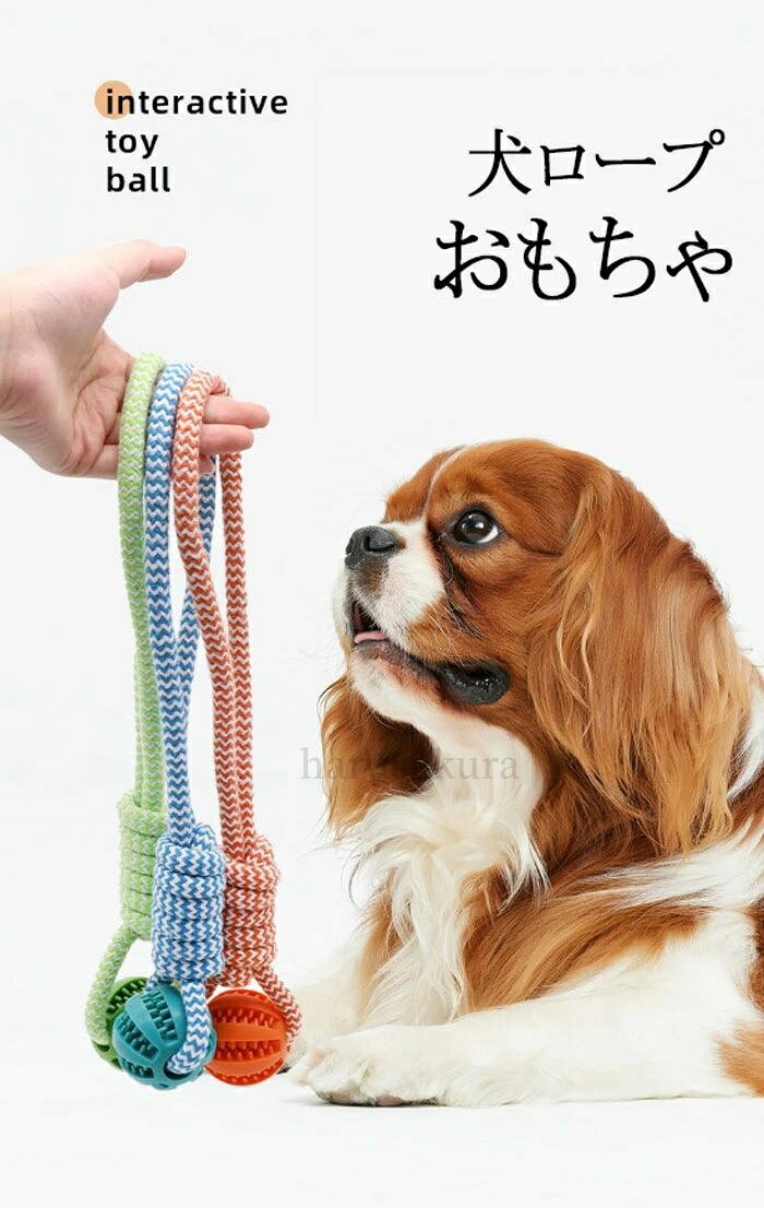 HARUSAKURA楽天市場店の【送料無料】犬 おもちゃ 人気 噛む おやつボール 犬ロープおもちゃ ストレス解消 丈夫 耐久性 清潔 歯磨き ひっぱりっこ 玩具 小型犬 中型犬 大型犬｜アングル2