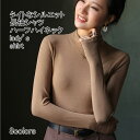 【マラソン期間最大10%OFFクーポン&P2倍】長袖シャツ レディース 防寒インナー 無地 ハーフハイネック 長袖 ストレッチ性 プルオーバー トップス カジュ...
