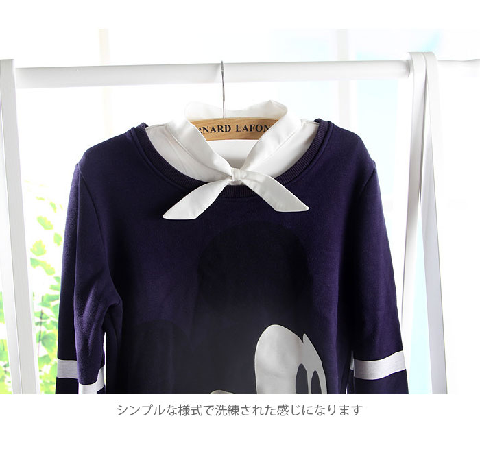 【マラソン期間最大10%OFFクーポン＆P2倍】【ネコポス送料無料】つけ襟 付け襟 レディース ブラウス付け襟 フェイクカラー ボウタイ 無地 純色 ホワイト 重ね着風 レイヤード シンプル エレガント 通勤 お洒落 キレイめ 小物 冬新作