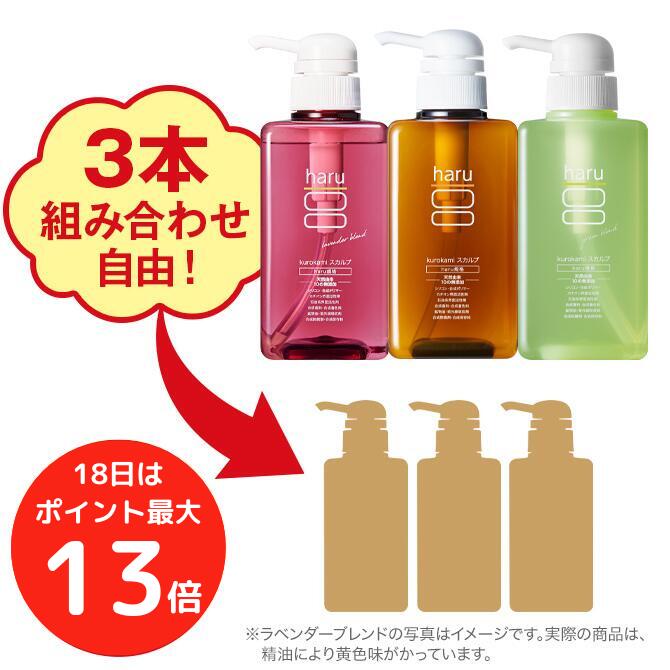 【送料無料！】Ric'S リックス ドライシャンプー 100g【髪 頭皮 ニオイ 臭い リセット 水不要 ドライヤー不要 サロン専売 美容専売 美容室】