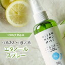 エタノールスプレー100％天然由来　手肌にやさしい　haru「クリーンハンドミスト /100mL」