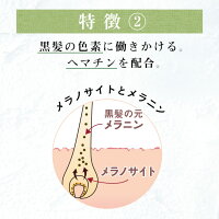 《25%OFF》100%天然由来ノンシリコンシャンプーharu黒髪スカルプ・プロ3本セット