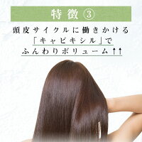 《25%OFF》100%天然由来ノンシリコンシャンプーharu黒髪スカルプ・プロ3本セット