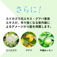 【在庫限り】100%天然由来シャンプーの新フレグランスkurokamiスカルプ(サングリア)