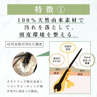 《25%OFF》100%天然由来ノンシリコンシャンプーharu黒髪スカルプ・プロ3本セット