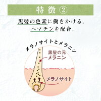 《25%OFF》100%天然由来ノンシリコンシャンプーharukurokamiスカルプ3本セット