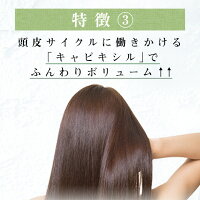 《25%OFF》100%天然由来ノンシリコンシャンプーharukurokamiスカルプ3本セット