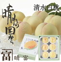 【岡山 清水白桃】《豊麗》フルーツ/晴富/お中元/R202-030/R202-050/R202-060/R202-080/R202-100