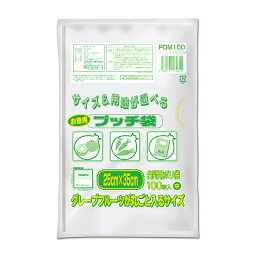 {5ケース以上特別価格（事業者限定）}PDM100 プッチ袋お徳用 中 半透明 100P　オルディ　ポリ袋