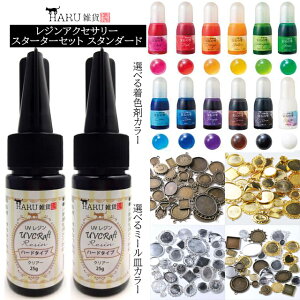 レジンアクセサリー スターターセット スタンダード レジン液2本 パジコ 宝石の雫10ml 3色 着色剤 ミール皿30枚 アクセサリー パーツ キット UVレジン25g LED対応 クリアー 透明 ハード PADICO 着色料 カラー 型枠 フレーム モールド ハンドメイド