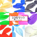 フェザー 羽根 ガチョウ 10枚セット 染め 装飾 素材 手芸 ピアス イヤリング ネックレス コサージュ アクセサリー パーツ ハンドメイド コスプレ ダンス...
