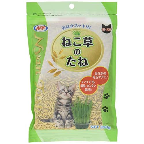 【送料無料】ねこ草のたね 200g ナチュラルペットフーズ NyanTaste 猫草 ネコ草 ねこの健康維持