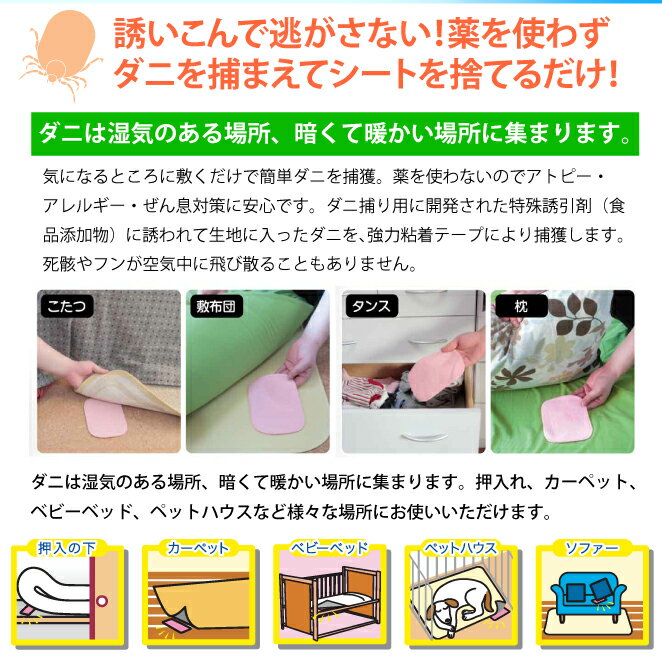 ��3�����åȡ��֤�������ñ���˥����� 10���� (���30��) �ޤȤ��㤤 �����༣ ������ꥷ���� ���˥���륮���к�