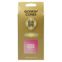 GONESH INCENSE CONE RASPBERRY / ガーネッシュ インセンス コーン ラズベリー / Room Fragrance お香