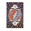 GRATEFUL DEAD SPIN YOUR FACE RWB TAPESTRY / グレイトフルデッド スピン ユア フェイス RWB タペストリー / イ...