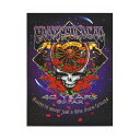 40th アニバーサリー プリント/GRATEFUL DEAD/グレイトフルデッド/ロック/ポスター/オフィシャル/インテリア