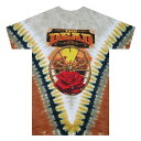 GRATEFUL DEAD RED ROCKS TD T-SHIRT / グレイトフルデッド ザ・デッド レッド ロックス タイダイ Tシャツ / ロック バンド