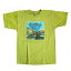 GRATEFUL DEAD SHAKEDOWN STREET LP T-SHIRT GREEN / グレイトフルデッド シェイクダウン ストリート Tシャツ / ロック バンド 9,680円