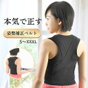 【 楽天スーパーSALE クーポン×P2倍 1位獲得 】姿勢ベルト 猫...(4)