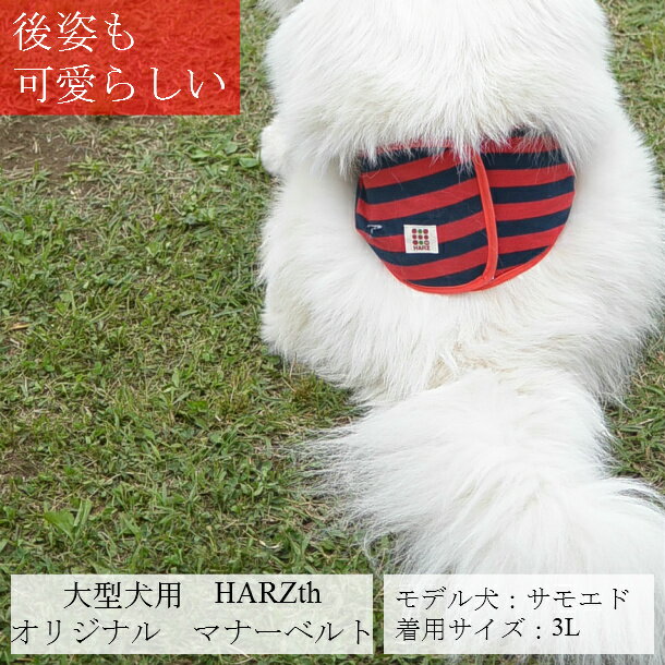 harzth ハーズ　マナーベルト3Lサイズ　 お楽しみ福袋　2枚セット　大型犬用　犬マナーベルト　犬介護用　　ハリタイプ　ギャザー入り　漏れにくい大型犬　マナーバンドマナーバンド　犬服　マナーウェアー　犬のマナーベルト