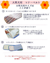 oogata-mana-setumei