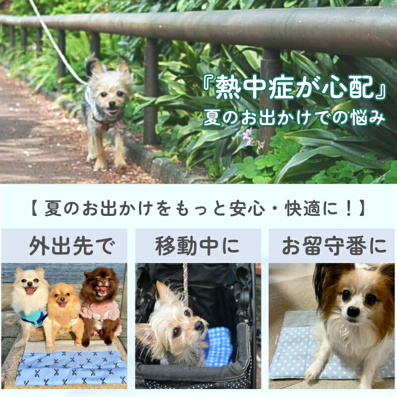 【ひんやり長持ち/熱中症対策】coolmat カート ひんやり冷感マット犬 猫 ペットバギー クッション アイスノン対応 洗える お散歩 ドライブ クールマット キャリー カート 接触冷感 夏のお散歩 お出かけ 旅行 暑さ対策 ペット 電車 保冷 冷たい ひんやり Harzth ハーズ 3