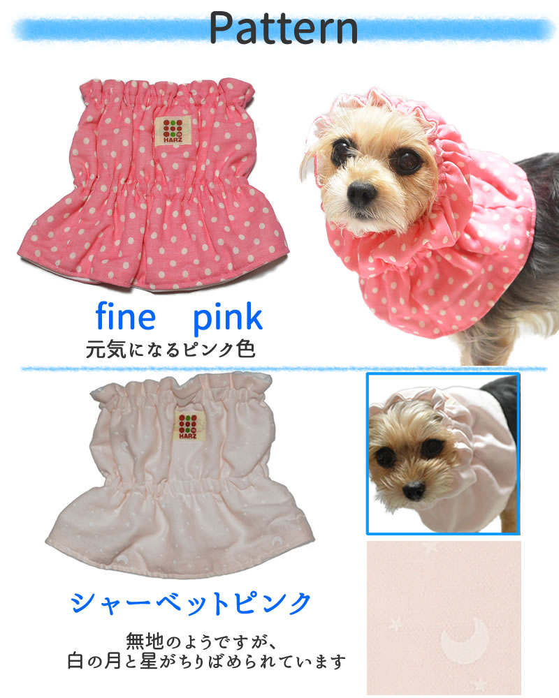 今季も再入荷 Daj 428 Senior Hotel Beach Cd Rom素材集 送料無料 ロイヤリティ フリー Cd Rom画像 Cd Rom写真 写真 写真素材 素材 Fucoa Cl