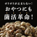 【メール便送料無料】国産 無添加 無塩 なっとう玉オーガニック115g(有機乾燥納豆)生きた納豆菌が腸まで届く!プロバイオティクスとプレバイオティクスの両方ができるシンバイオティクス。プロテイン/ポリアミン/サポニン/イソフラボン/タンパク/エクオール#はすや 2