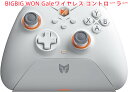 BIGBIG WON Gale 2.4Gワイヤレス switch スイッチ コントローラ PCコントローラー 充電ベース付きのBluetooth Switchゲームパッド、PCアプリの設定制御、4つのカスタムボタン、Switch/Switch Lite/Switch OLED/Windows/Android/IOSに対応（ブラック / ホワイト）