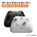 BIGBIG WON Gale-Hall コントローラー 2.4Gワイヤレス ホール効果 トリガー スティック PC 充電ベース付き Bluetooth ゲーム...