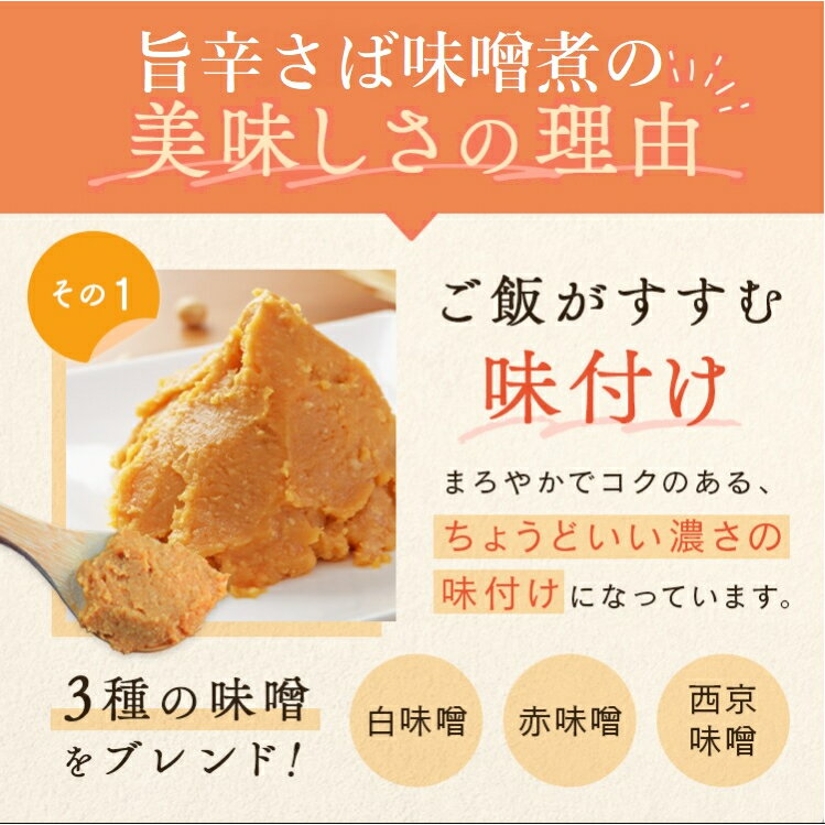 【エントリーでポイント10倍！】氷温熟成旨辛さば味噌煮10パック入り【国産 サバ さば 煮魚 切身 辛みそ 時短料理 お手軽 おかず ご飯のお供 お惣菜 湯煎 冷凍保管 一人暮らし 冷凍食品 おかず フードロス 温めるだけ 冷凍惣菜 冷凍ギフト 父の日 海鮮 煮物 無添加】 3