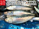 氷温熟成銚子近海産煮魚お試しセット【真空パック さば いわし 各3種類6パック 冷凍食品 お取り寄せグルメ 国産 鯖 鰯 煮魚 切身 時短 お手軽 おかず ご飯のお供 お惣菜 湯煎 一人暮らし 惣菜 フードロス 温めるだけ 冷凍惣菜 冷凍ギフト 父の日 海鮮 煮物】 2