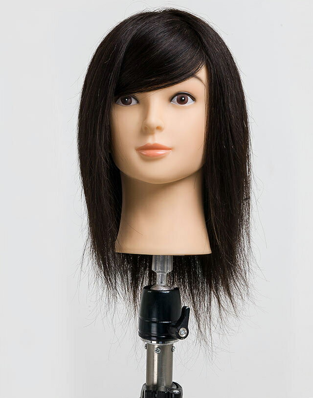 【送料無料】人毛100%カットウィッグ゛Bella 毛長植毛/立体耳タイプ【12体セット】