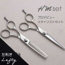 【送料無料 完全プロ仕様】【ハサミハウス】HM5.5inch左 / 6.0inch 左利き用 シザー&セニングセット 完全プロ仕様 美容ハサミ スキバサミ プロ...