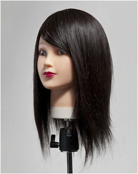 【送料無料】人毛100%カットウィッグ Anna ☆ 毛量たっぷりタイプ【12体セット】練習ウィッグ カットマネキン 美容師