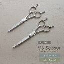 コバルトVSシザー5.5-6.0インチ コバルトV10使用 美容 理容 散髪 はさみ シザー すきばさみ セニング ヘアカット プロ用 送料無料