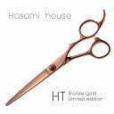 【数量限定】プロ用美容シザー 6インチ HT ブロンズ ゴールド オリジナル シザー 美容 美容師 スタイリスト アシスタント 理容 散髪ハサミ ヘアカット チ...