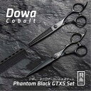 【飛燕シザー】Hien Dowa phantom_black_gtxs_set 大人気の コバルトブラックシザー GTXセット ファントム 黒 チタンコーティング 20 セニング 美容 ハサミ【送料無料】 美容師 プロ カット シザー スタイリスト スキバサミ