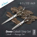 NEW【飛燕シザー】【送料無料】【ロング】飛燕Cobalt Step Set 剣刃シザー&セニングセット コバルトV10 美容 理容 ハサミ スキバサミ プロ用...
